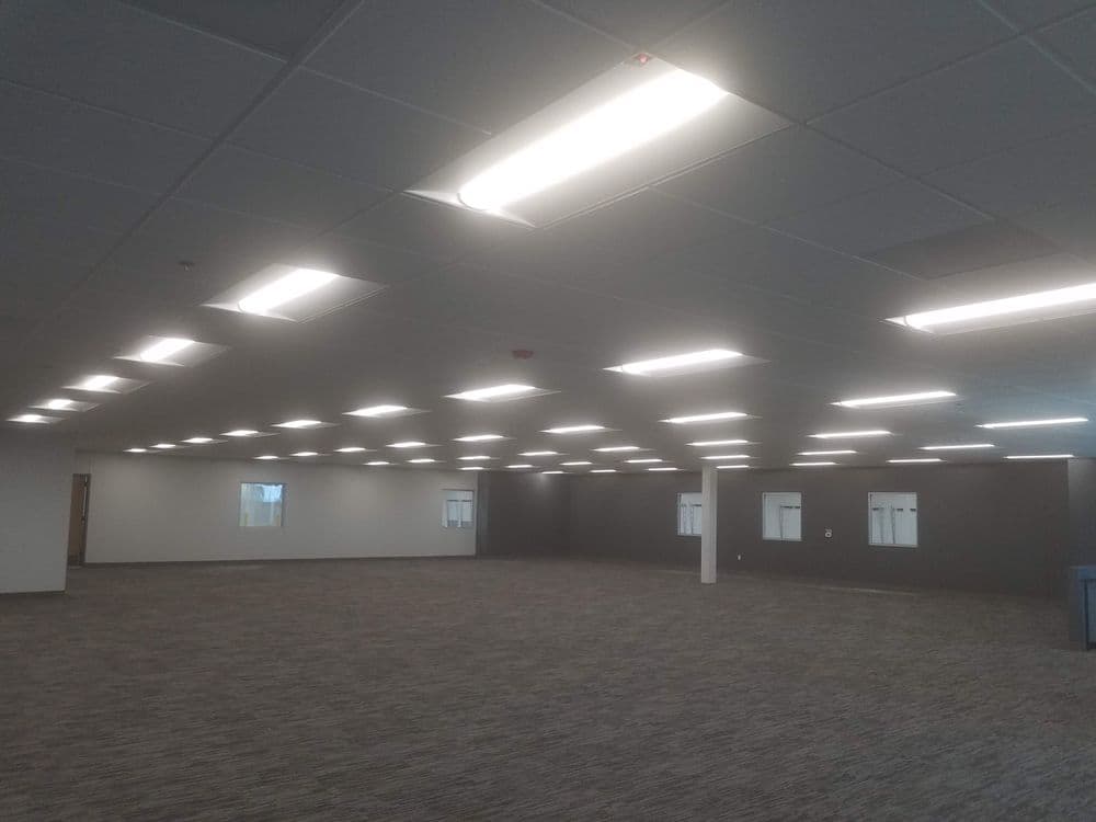 Brightly lit open office space with gray walls and carpet, featuring multiple windows.